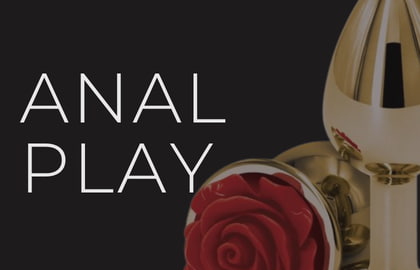 Anal Play Sex Toys