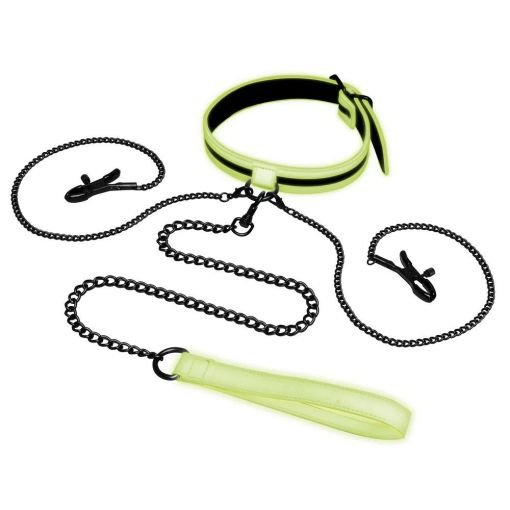 WhipSmart Glow in the Dark Collar with Nipple Clips & Leash